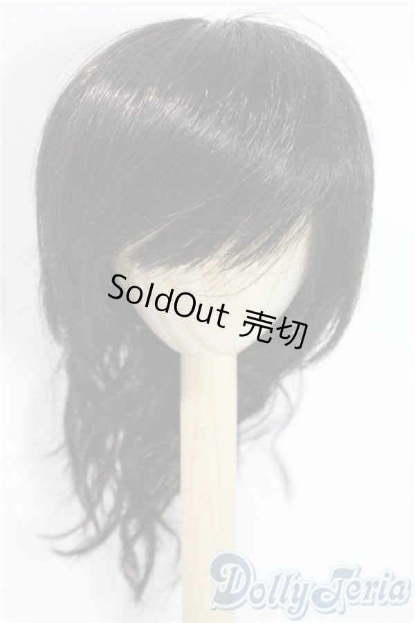 画像1: 8-9inch/ウィッグ U-25-09-23-025-TN-ZU (1)