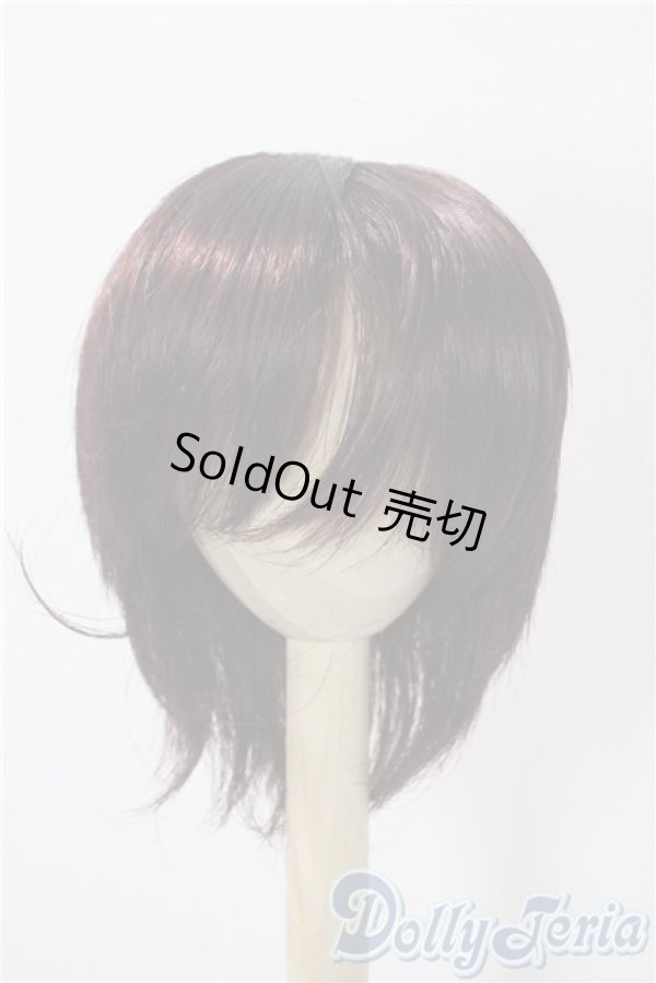 画像1: 9-10inch/ウィッグ U-25-09-23-053-TN-ZU (1)