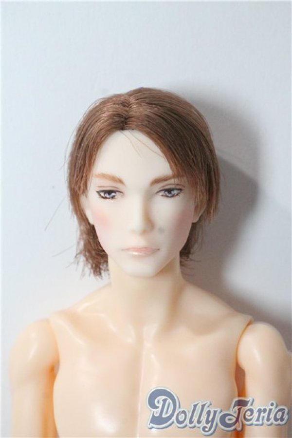 画像1: petworks/六分の一男子図鑑　ナイン A-25-09-17-1035-TN-ZU (1)