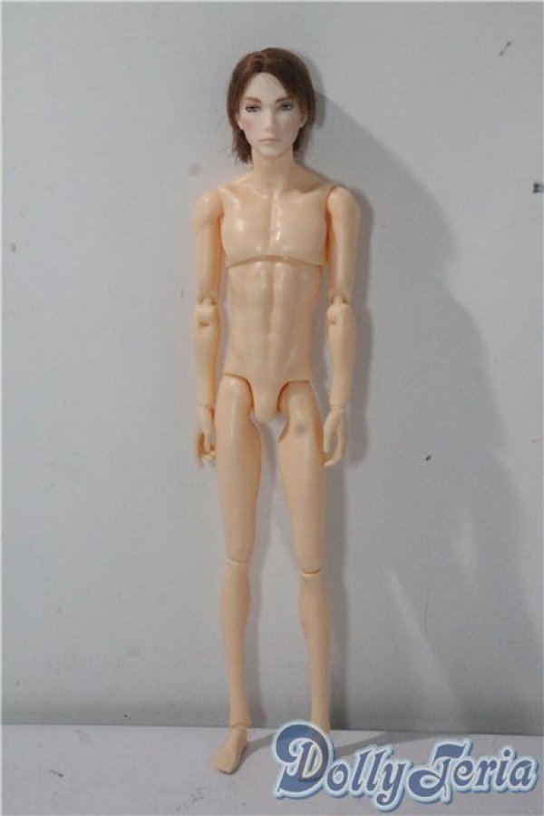 画像2: petworks/六分の一男子図鑑　ナイン A-25-09-17-1035-TN-ZU (2)