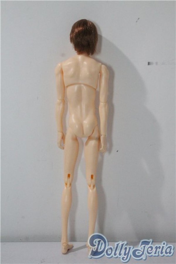 画像3: petworks/六分の一男子図鑑　ナイン A-25-09-17-1035-TN-ZU (3)