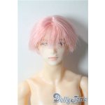 画像: petworks/六分の一男子図鑑 ナイン A-25-09-17-1034-TN-ZU