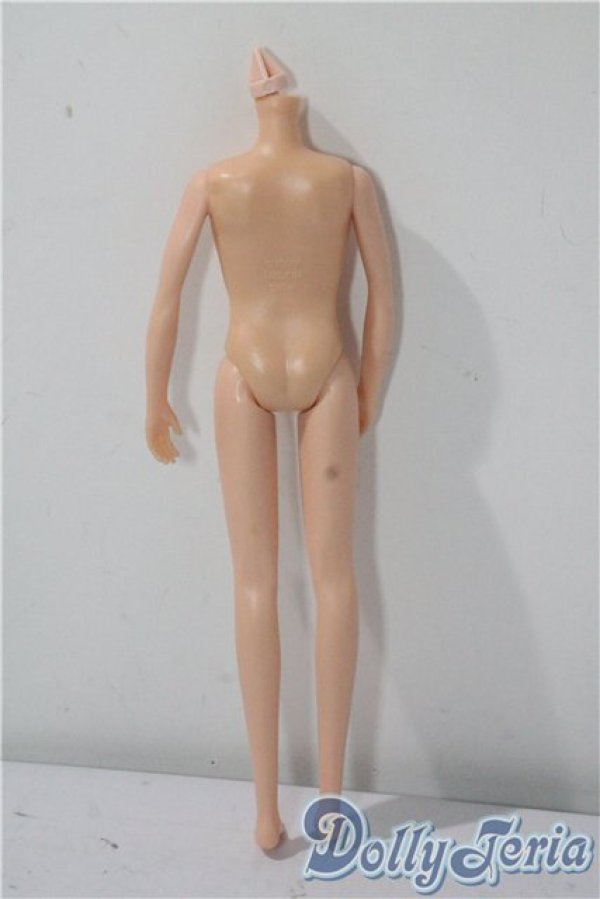 画像2: ジェニーボーイフレンドボディ A-25-09-17-1015-TN-ZU (2)