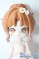 画像: MINTY/ファンタジーの森 リス スイスイ A-25-09-17-1078-TN-ZA