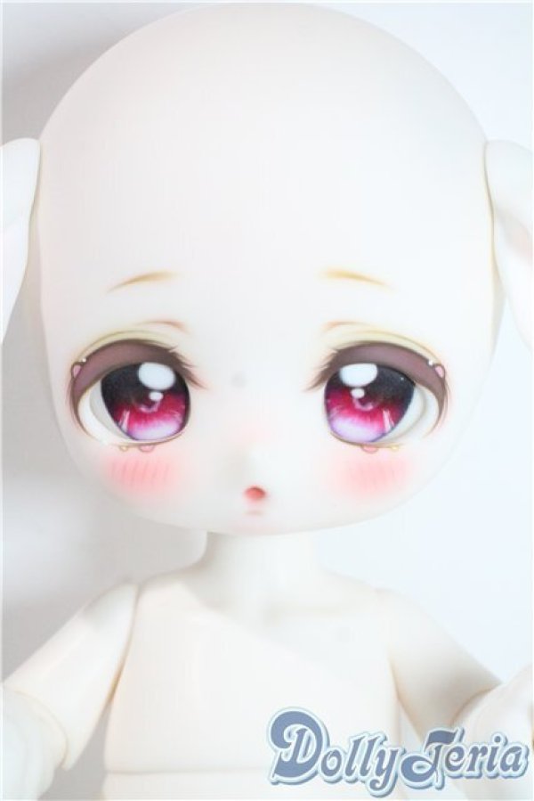 画像1: ADVillage/Macarons A-25-09-17-1092-TN-ZA (1)