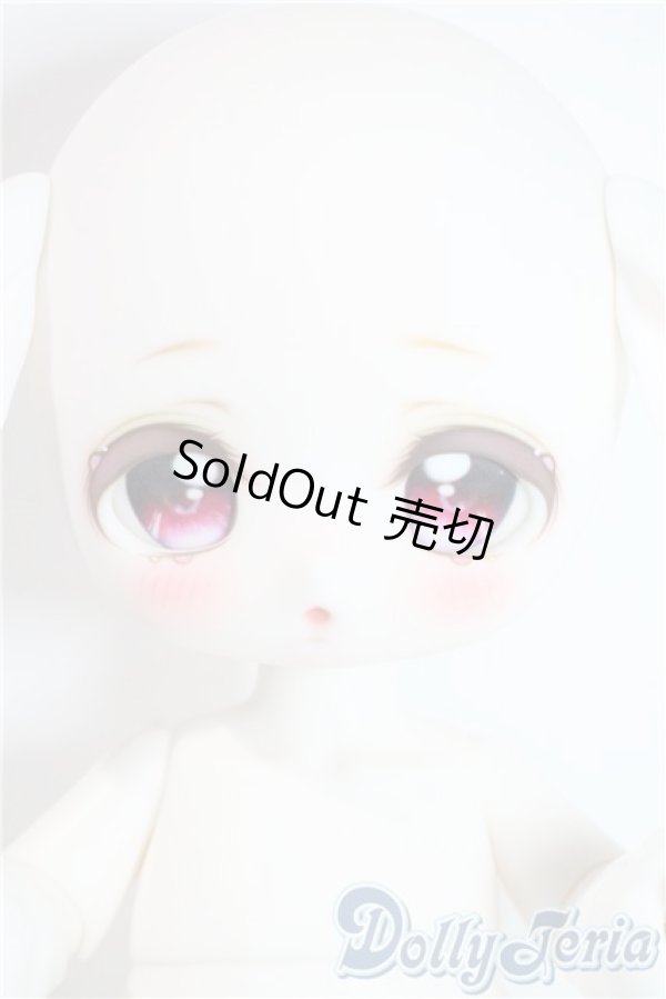 画像1: ADVillage/Macarons A-25-09-17-1092-TN-ZA (1)