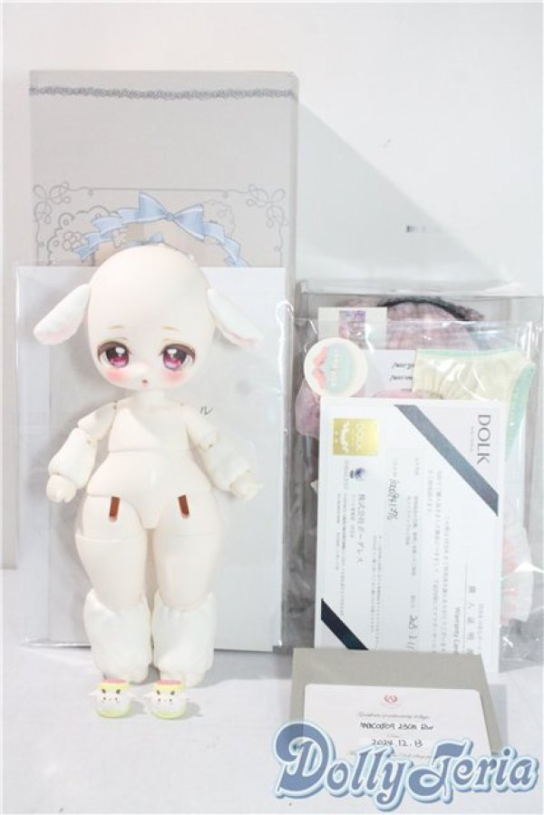 画像5: ADVillage/Macarons A-25-09-17-1092-TN-ZA (5)