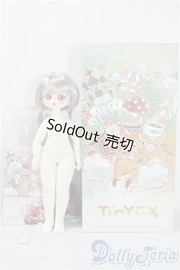 画像5: tinyfox/1/6 anna A-25-09-17-1095-TN-ZU (5)