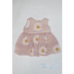 画像: 幼SD/OF:ワンピース U-25-09-23-280-TN-ZU