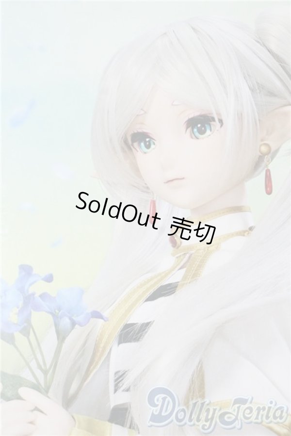 画像1: DDS/フリーレン A-25-10-01-1099-NY-ZU (1)