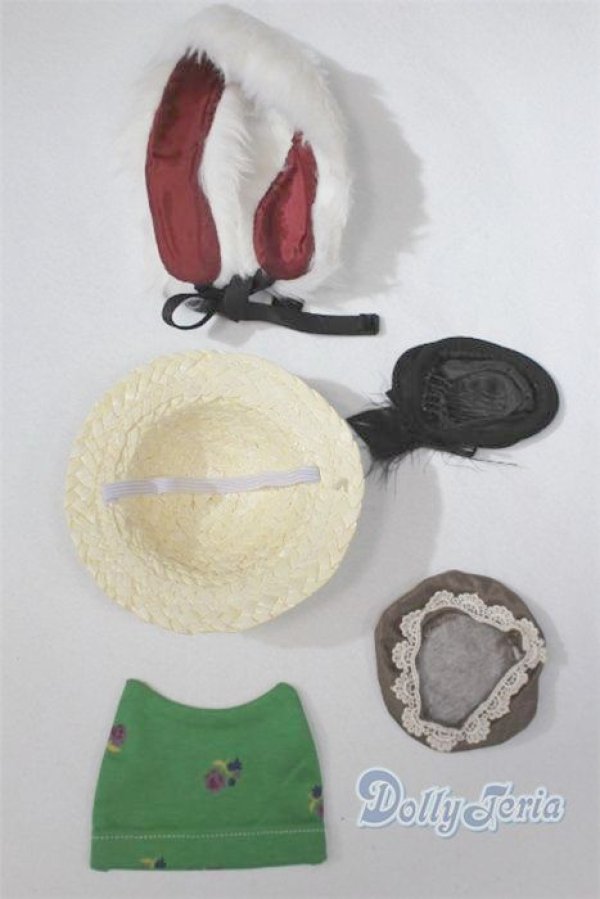 画像2: SDM＆MSD/OF:小物 U-25-09-30-265-TN-ZU (2)