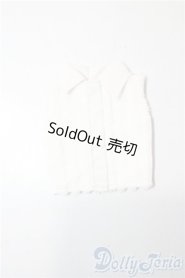 画像1: SD/OF:トップス U-25-09-30-163-TN-ZU (1)