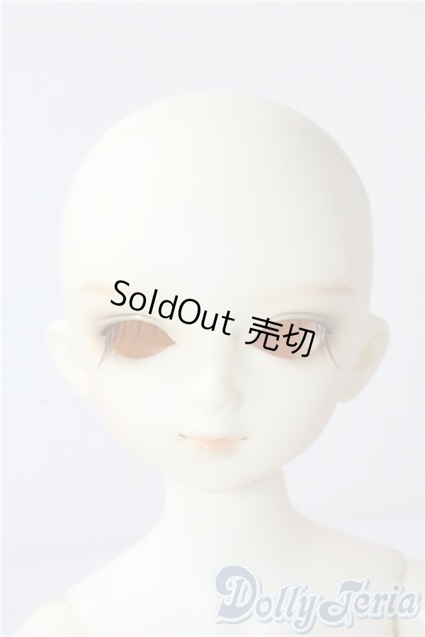 画像1: SDM/フルチョイスF19 U-25-10-07-218-TN-ZU (1)