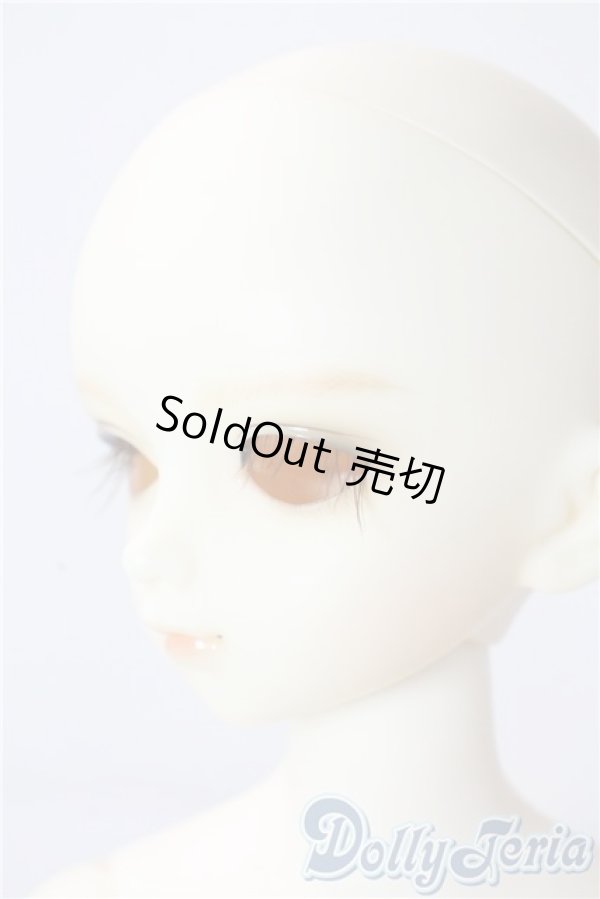 画像3: SDM/フルチョイスF19 U-25-10-07-218-TN-ZU (3)