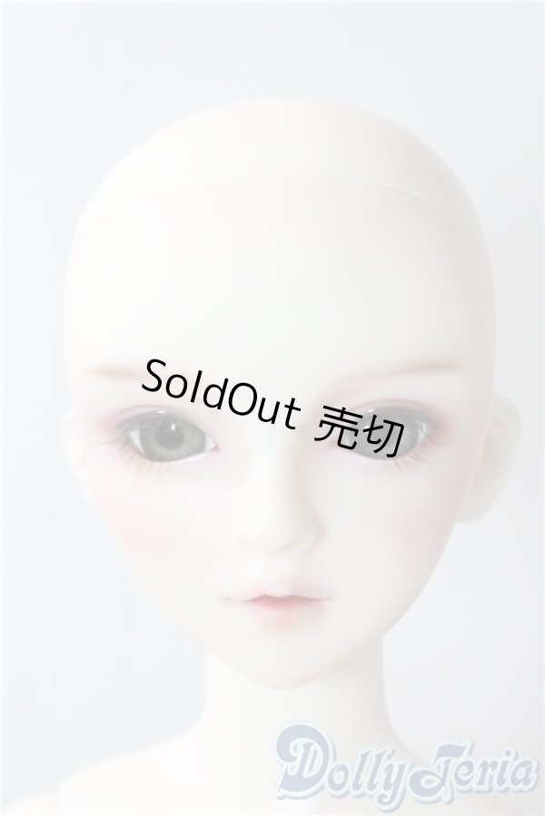 画像2: SD/フルチョイス:SDF-34ヘッド U-25-10-07-220-NY-ZU (2)