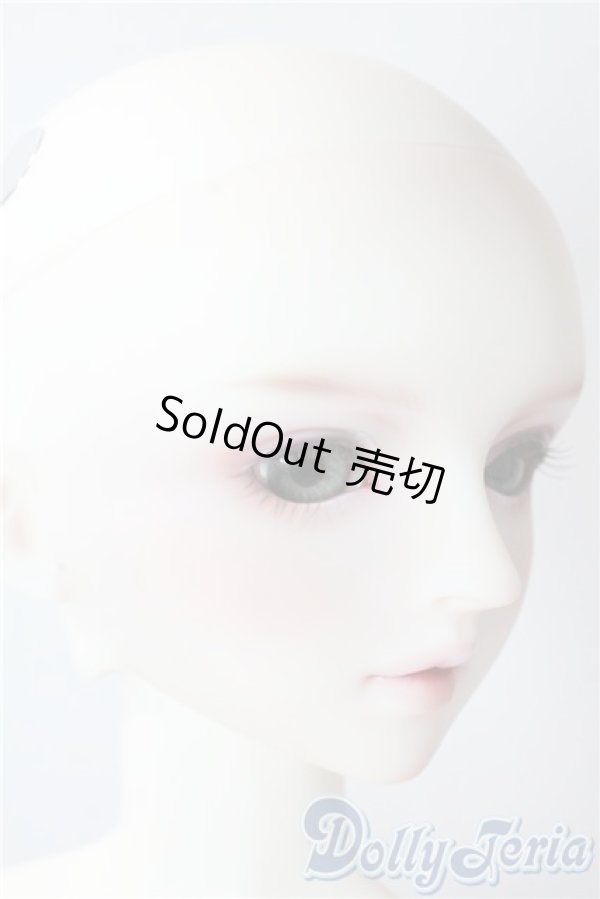 画像3: SD/フルチョイス:SDF-34ヘッド U-25-10-07-220-NY-ZU (3)