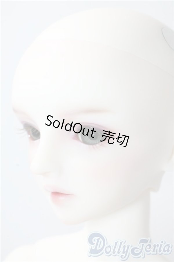 画像4: SD/フルチョイス:SDF-34ヘッド U-25-10-07-220-NY-ZU (4)