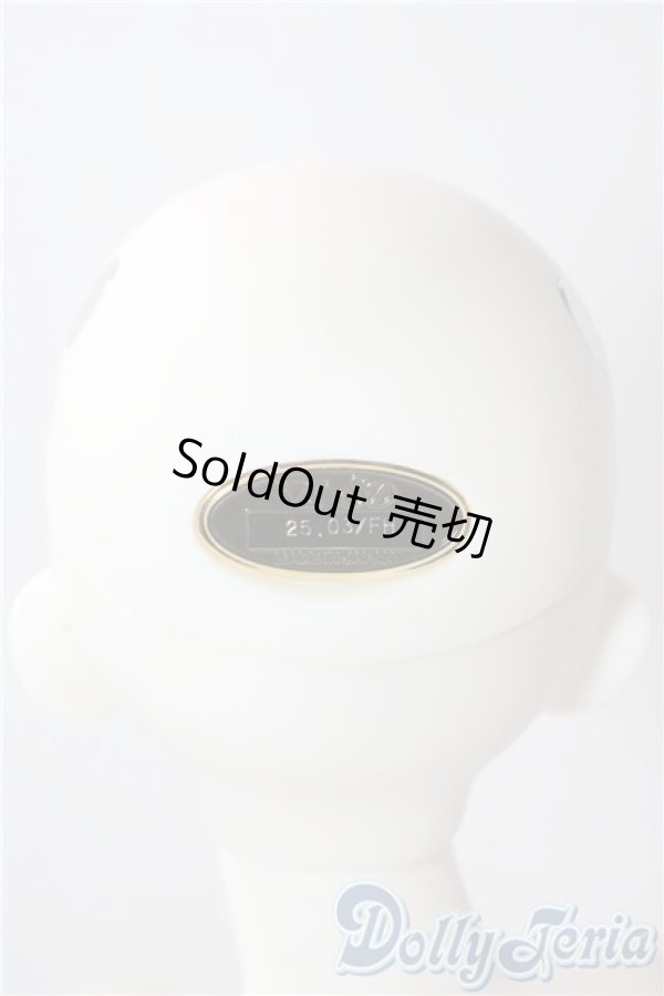 画像5: SD/フルチョイス:SDF-34ヘッド U-25-10-07-220-NY-ZU (5)