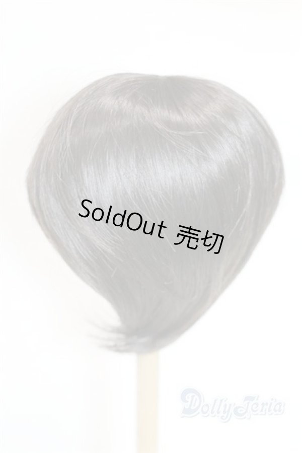 画像2: 9-10inch/ウィッグ U-25-10-14-223-TN-ZU (2)