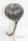 画像2: 9-10inch/ウィッグ U-25-10-14-260-TN-ZU (2)