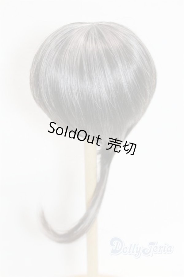 画像2: 9-10inch/ウィッグ U-25-10-14-260-TN-ZU (2)