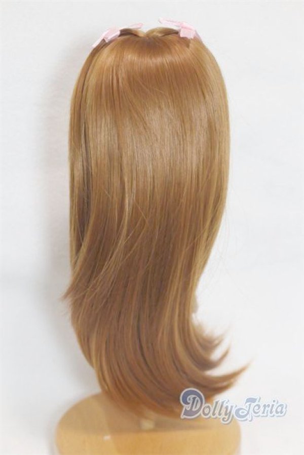 画像2: 9-10inch/ウィッグ U-25-10-14-261-TN-ZU (2)