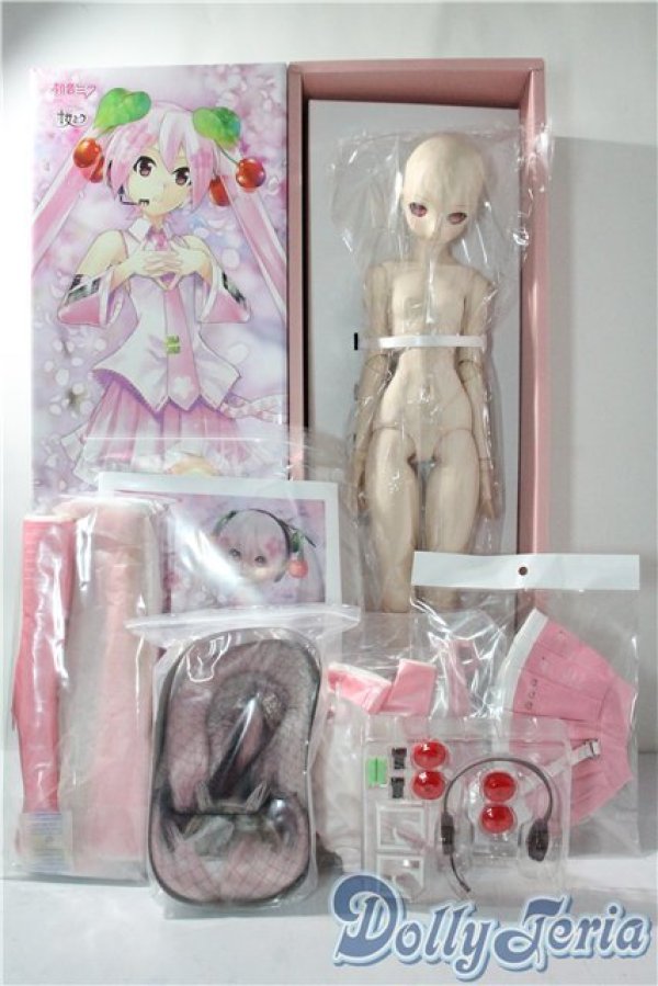 画像6: DD/桜ミク A-25-10-08-1097-TN-ZU (6)