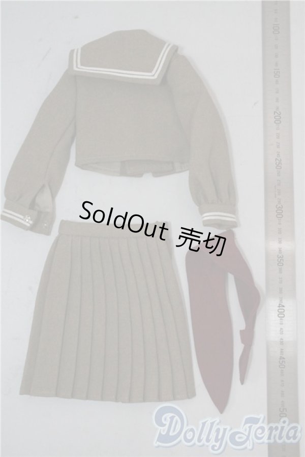 画像2: SD/OF:衣装セット U-25-10-14-119-TN-ZU (2)