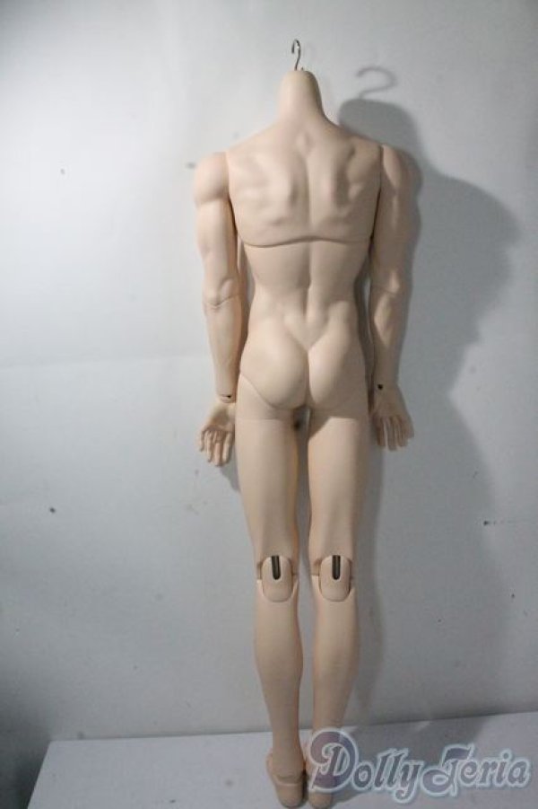 画像3: LUTS/Super Senior Delf BOY Superior Body Muscle A-25-10-15-1095-TN-ZU (3)