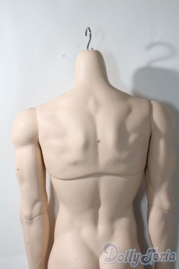 画像5: LUTS/Super Senior Delf BOY Superior Body Muscle A-25-10-15-1095-TN-ZU (5)