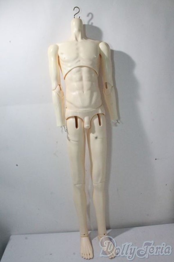 画像2: LUTS/Super Senior Delf Superior Body A-25-10-15-1094-TN-ZU (2)