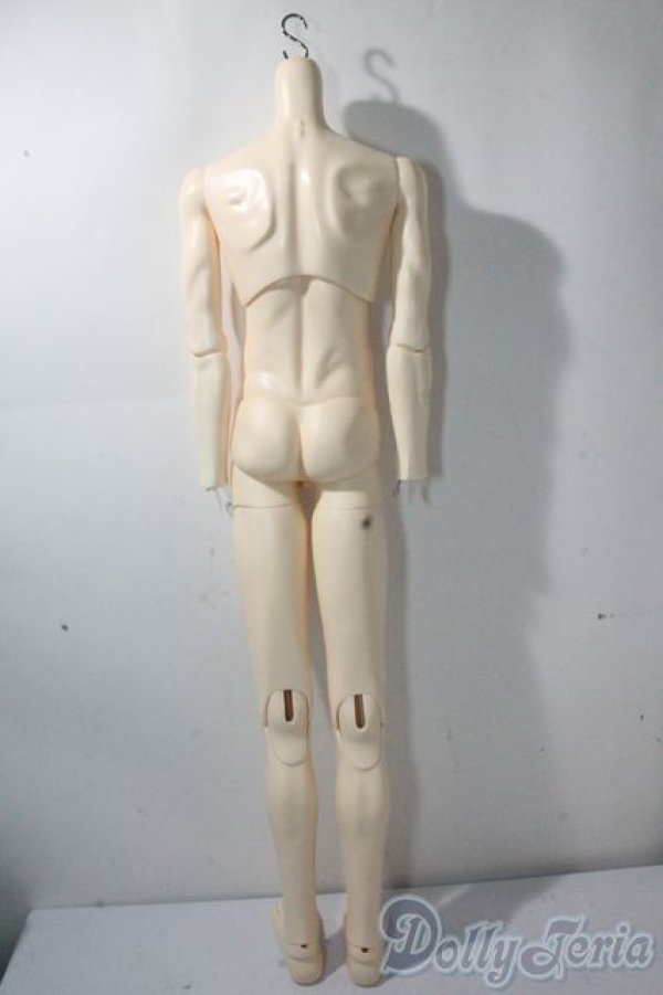 画像3: LUTS/Super Senior Delf Superior Body A-25-10-15-1094-TN-ZU (3)