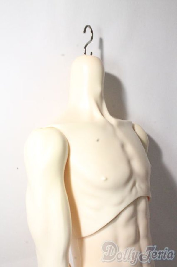 画像6: LUTS/Super Senior Delf Superior Body A-25-10-15-1094-TN-ZU (6)