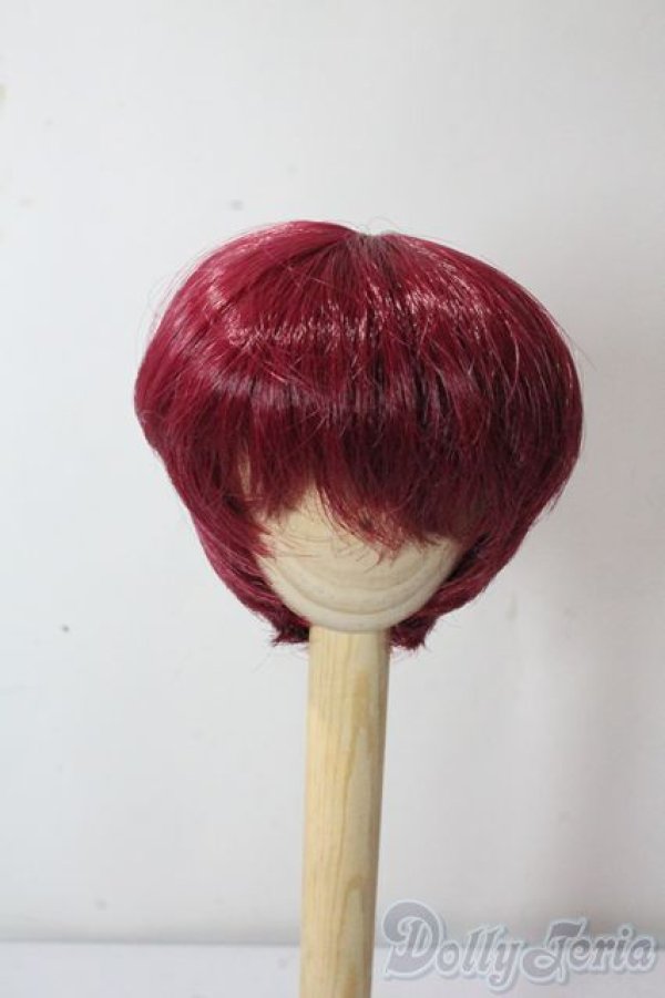 画像1: 7-8inch/ウィッグ U-25-10-21-004-TN-ZU (1)