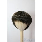 画像: 9-10inch/ウィッグ U-25-10-21-036-TN-ZU