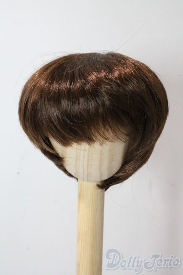 画像1: 8-9inch/ウィッグ U-25-10-21-016-TN-ZU (1)