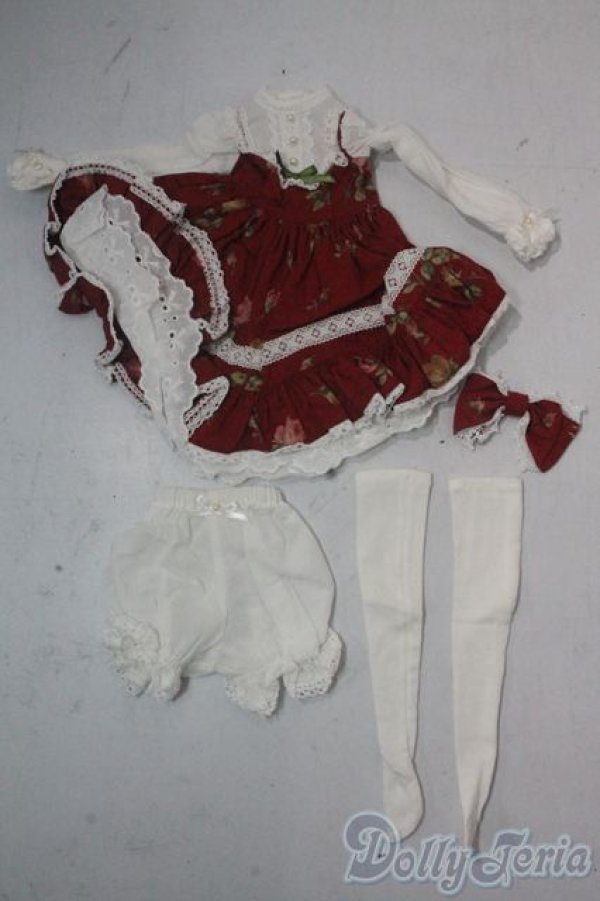 画像1: SDM＆MSD/OF:衣装セット U-25-10-21-127-TN-ZU (1)