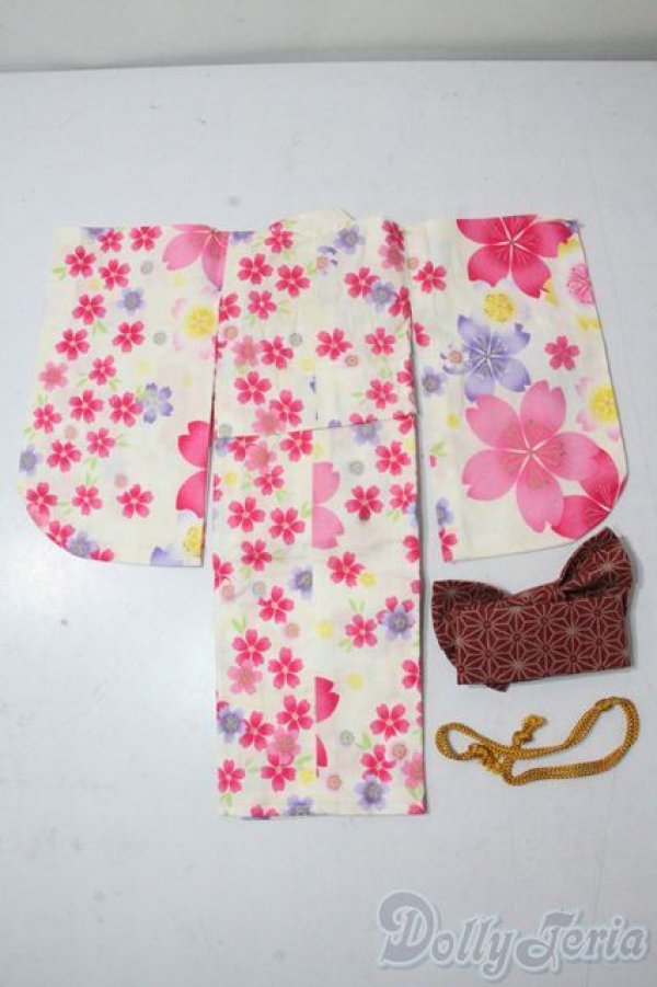 画像2: SDM＆MSD/OF:衣装セット U-25-10-21-063-TN-ZU (2)