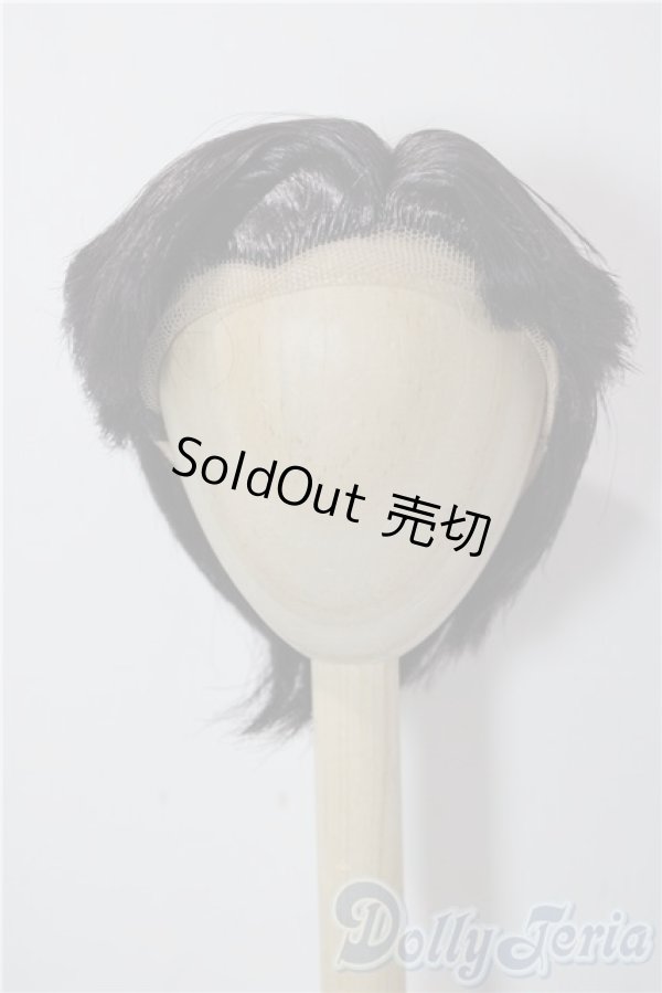 画像1: 9-10inch/ウィッグ U-25-12-24-055-TN-ZU (1)