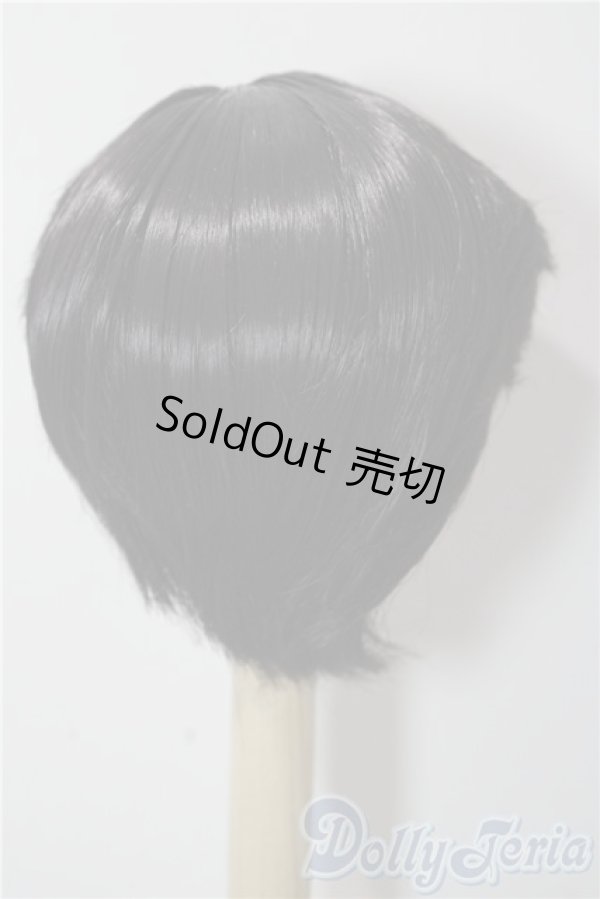 画像2: 9-10inch/ウィッグ U-25-12-24-055-TN-ZU (2)