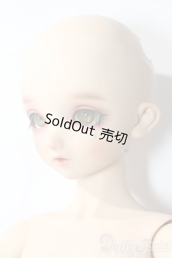 画像2: SDBOY/F-81ヘッド:フルチョイス U-25-10-21-218-TN-ZU (2)