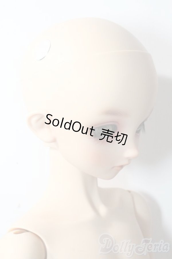 画像3: SDBOY/F-81ヘッド:フルチョイス U-25-10-21-218-TN-ZU (3)