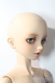 画像3: SDBOY/F-81ヘッド:フルチョイス U-25-10-21-219-TN-ZU (3)