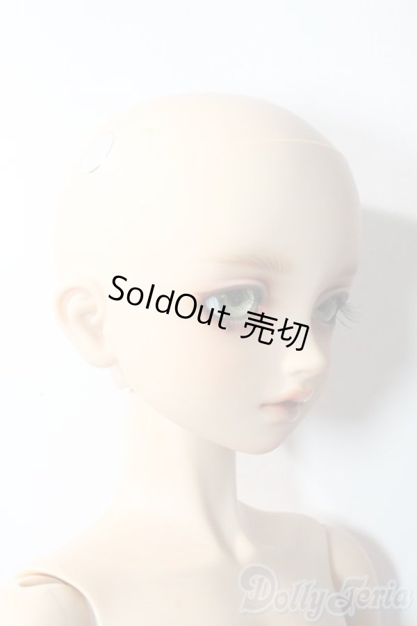 画像3: SDBOY/F-81ヘッド:フルチョイス U-25-10-21-219-TN-ZU (3)