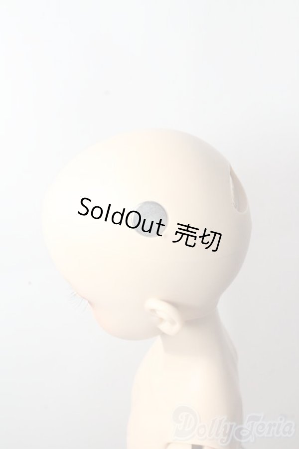 画像8: SDBOY/F-81ヘッド:フルチョイス U-25-10-21-219-TN-ZU (8)