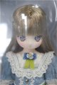 画像: azone/1/6アイリスコレクトプチ Ruchiru（るちる）/ Flowers of Serenity（Blue Myosotis ver.）/0 A-25-11-12-127-TN-ZA