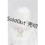 画像: 1/6アイリスコレクトプチ Ruchiru(るちる)/ Flowers of Serenity(Peach Blossom ver.)/0 I-25-11-16-227-TN-ZI