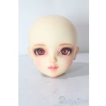画像: SDGrG/SDGr/ルチア 2nd(アンティークスタイリストver):ヘッドのみ U-25-10-21-212-TN-ZU