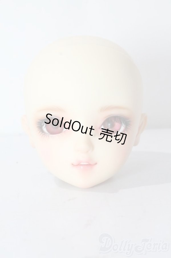 画像1: SDGrG/SDGr/ルチア 2nd(アンティークスタイリストver):ヘッドのみ U-25-10-21-212-TN-ZU (1)