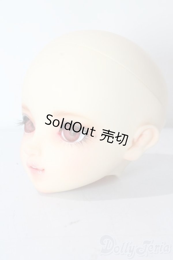 画像2: SDGrG/SDGr/ルチア 2nd(アンティークスタイリストver):ヘッドのみ U-25-10-21-212-TN-ZU (2)